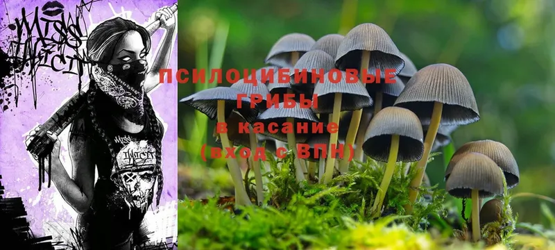 KRAKEN онион  Заинск  Галлюциногенные грибы Magic Shrooms 